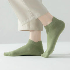 Macaron Candy Socks - 5 pairs