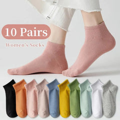 Candy Color Socks – 10 Pairs