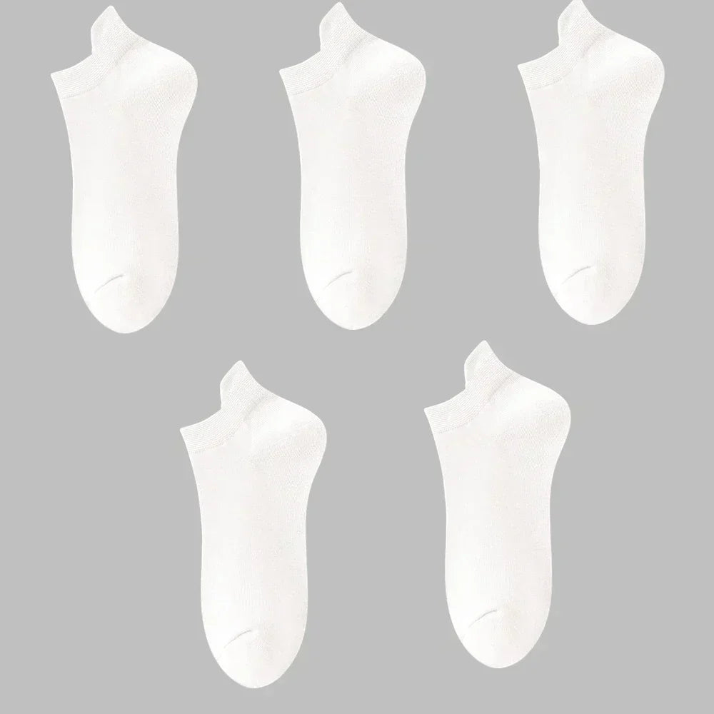 Macaron Candy Socks - 5 pairs