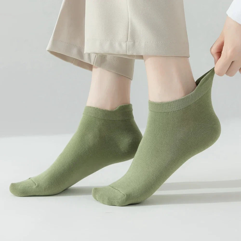 Macaron Candy Socks - 5 pairs