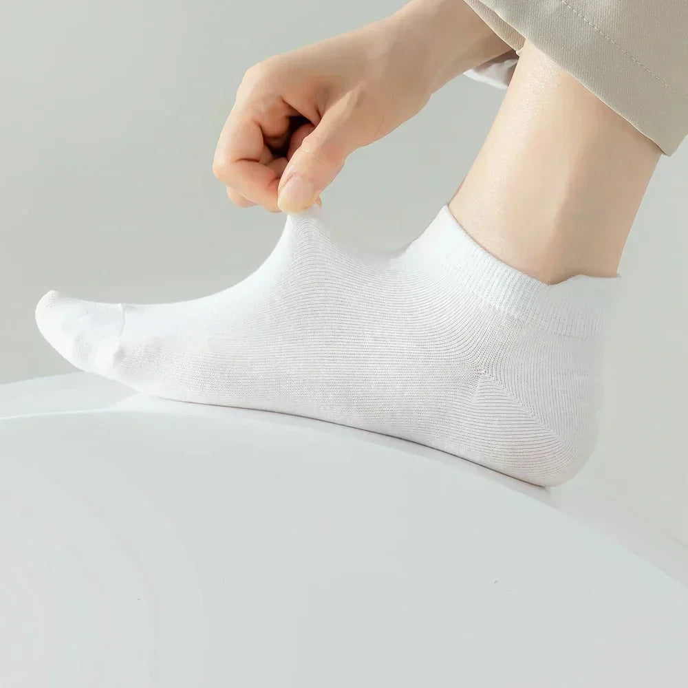 Macaron Candy Socks - 5 pairs