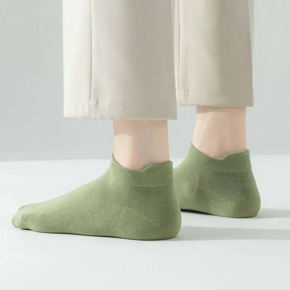 Macaron Candy Socks - 5 pairs