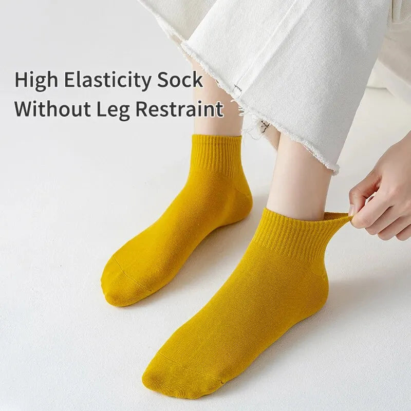 Candy Color Socks – 10 Pairs