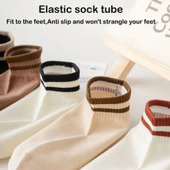 Campus Breeze Socks – 6 Pairs