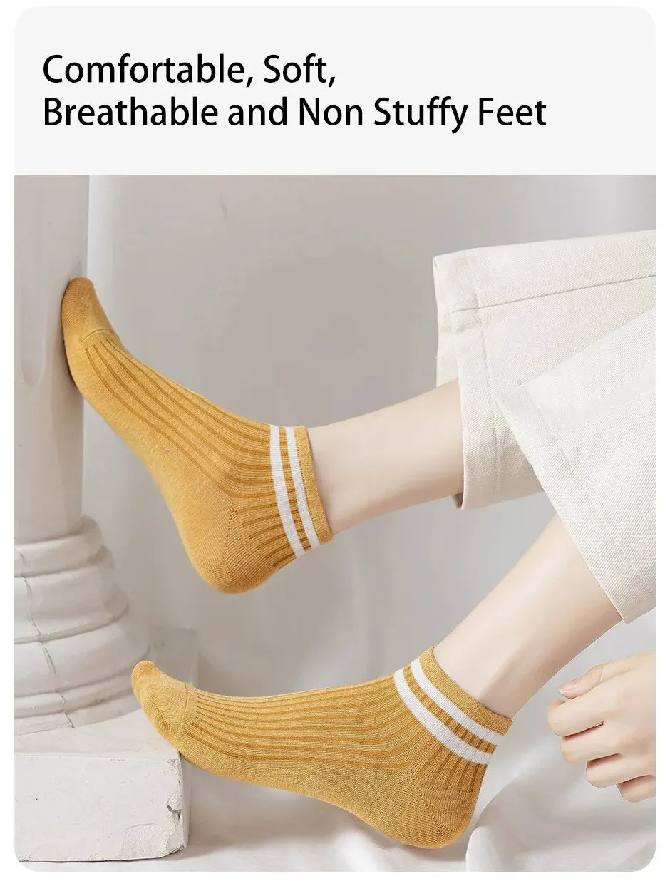 Four Seasons Socks – 10 Pairs