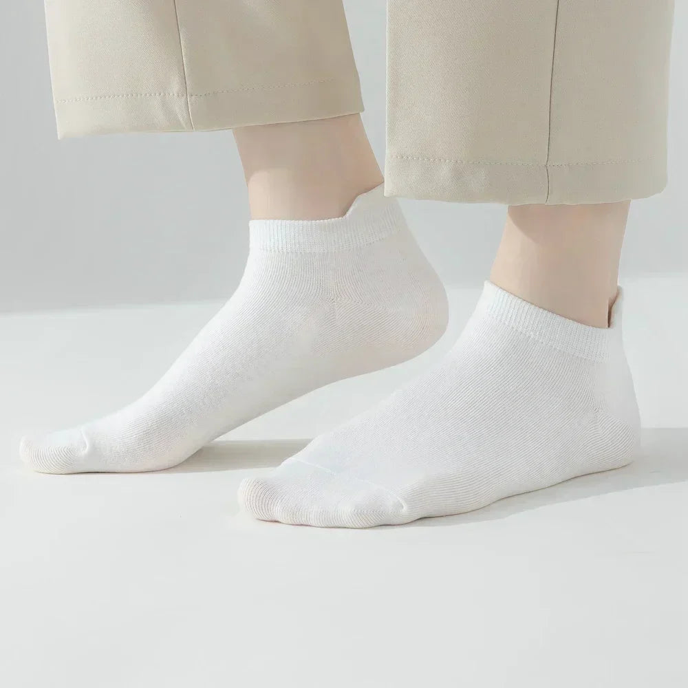 Macaron Candy Socks - 5 pairs