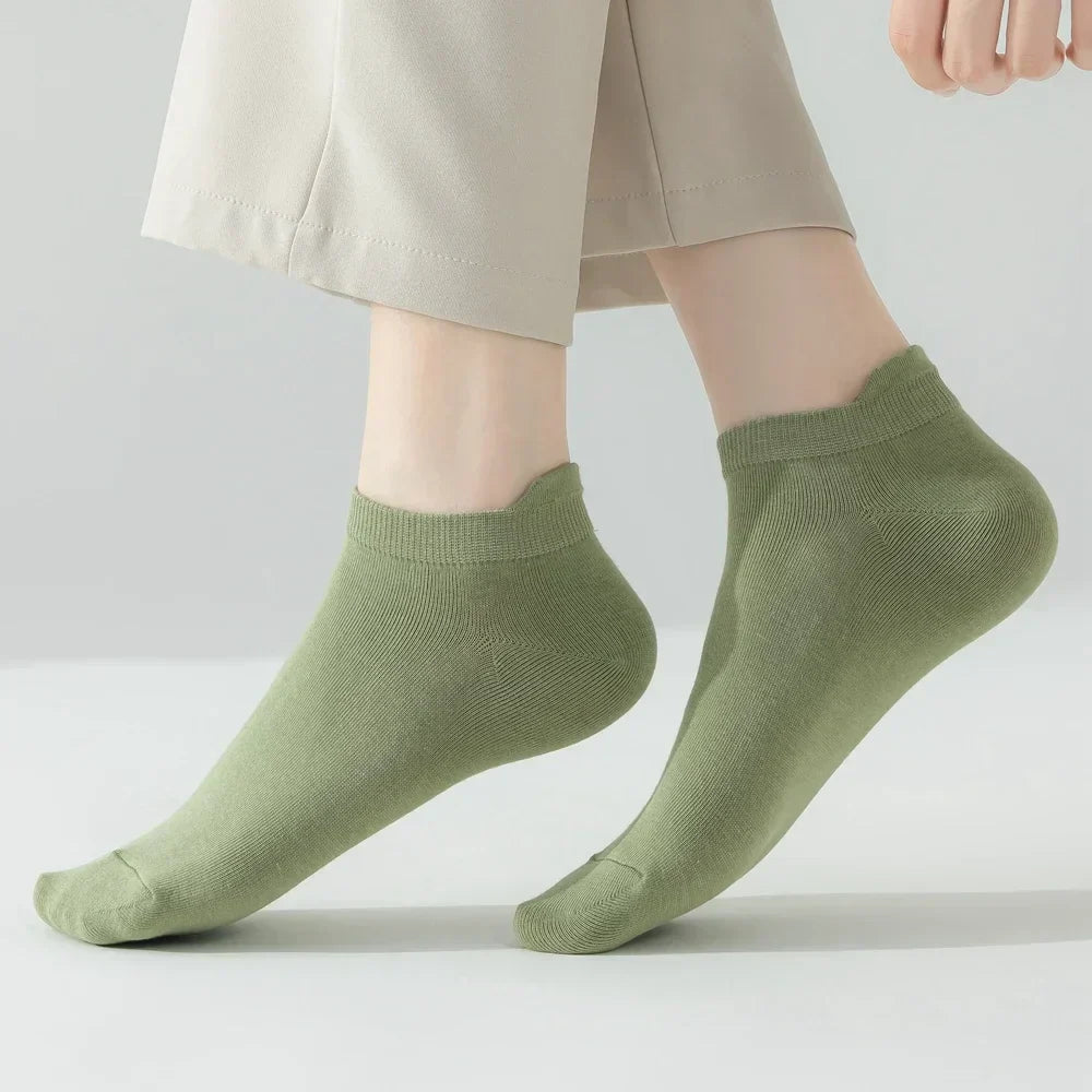 Macaron Candy Socks - 5 pairs