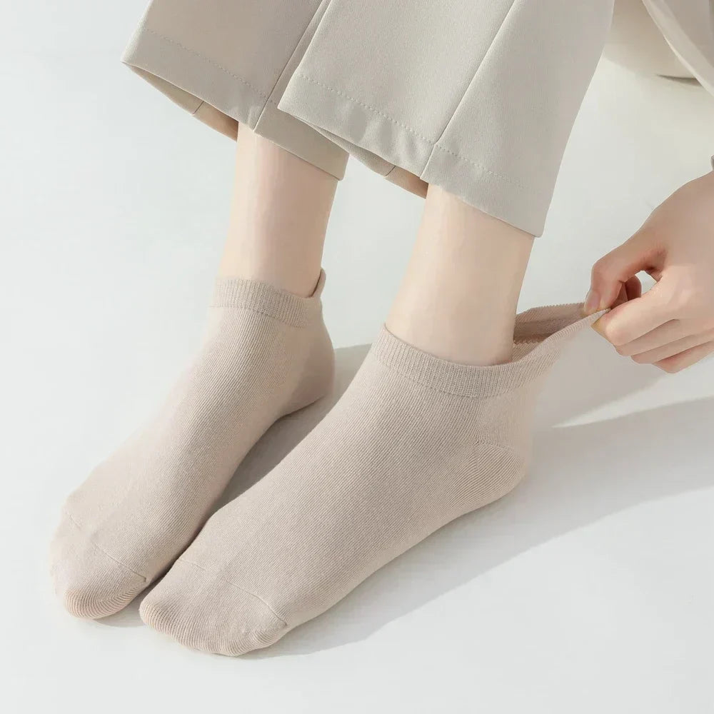 Macaron Candy Socks - 5 pairs