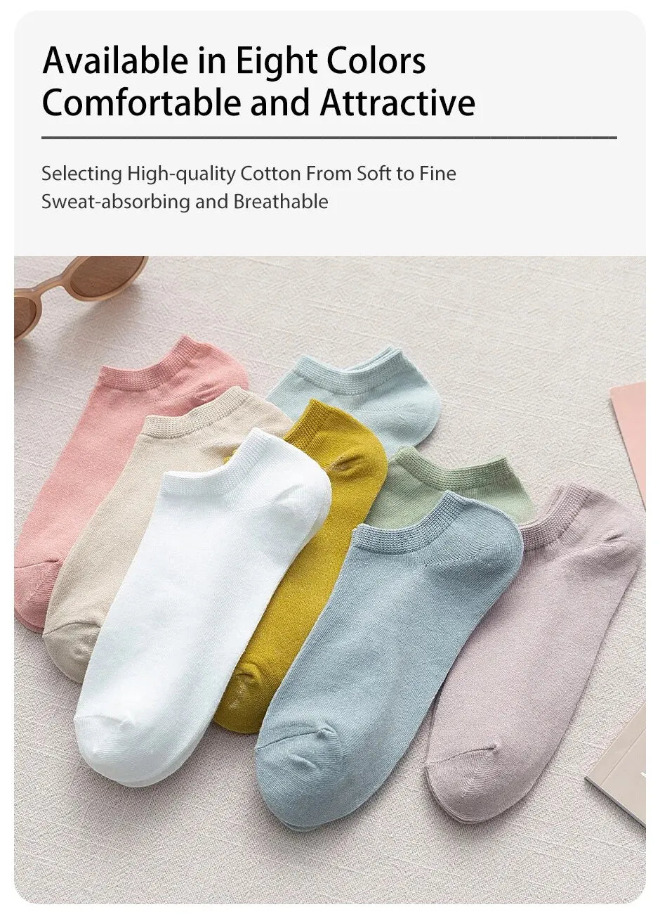 Morandi Style Socks – 8 Pairs